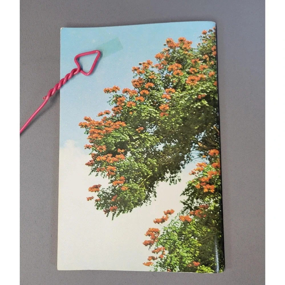 Tropical Trees of Hawaii Dorothy & Bob Hargreaves Paperback 130+ Color Photos